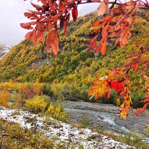 Лёгкий треккинг в горах Домбая с комфортом