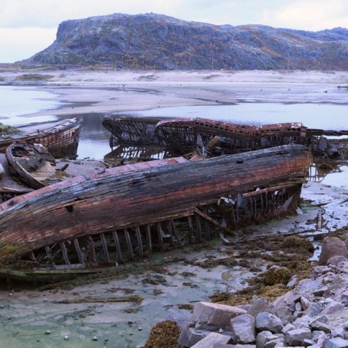 Вкусное путешествие на край света в мини-группе: Мурманск и Териберка