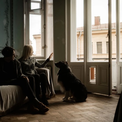 В гостях: фотоэкскурсия в дворянской квартире