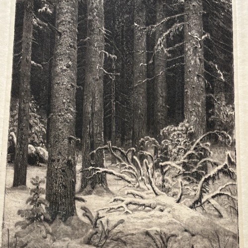 Сказки русского леса: выставка Шишкина — для детей