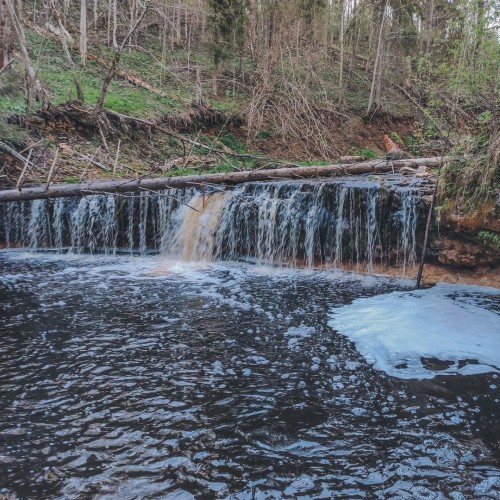 Старинные усадьбы, уютные города и природа: тур по живописным уголкам Новгородской области