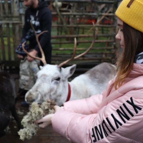 Северный экспресс-тур в мини-группе: Мурманск, Териберка и дополнительные активности на выбор