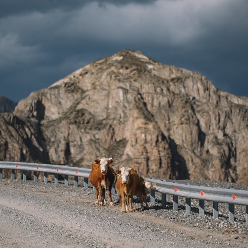 Цветущий май — пора на Алтай: Марс и перевалы, водопад Куркуре, Гейзерное озеро и загадочные курганы
