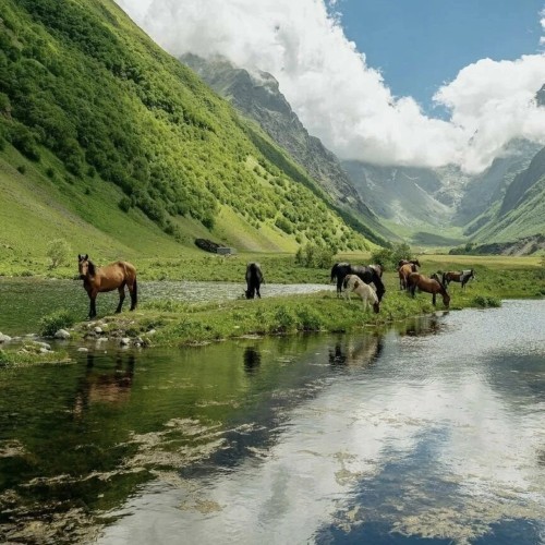 Это Осетия! Путешествие в мини-группе из Пятигорска