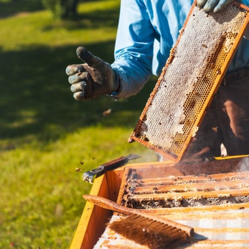 Уик-энд на природе: Камышлинский водопад, Каракольские озёра и Зубы дракона