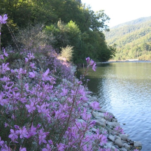 Женское счастье: отдых, правильное питание и проживание с видом на горы