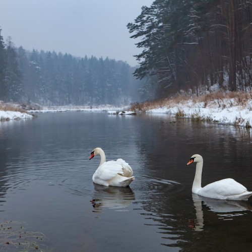Замок Инстербург и Роминтская пуща. Фотопутешествие во времени