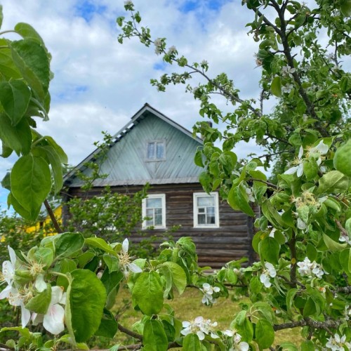 В Карелию с семьёй: Кижи, Петрозаводск и знакомство с культурой и фольклором