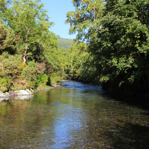 Рыбалка на камчатского лосося в мини-группе