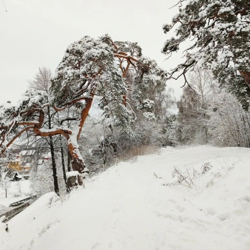 Из Нижнего Новгорода –  в Городец и Семёнов