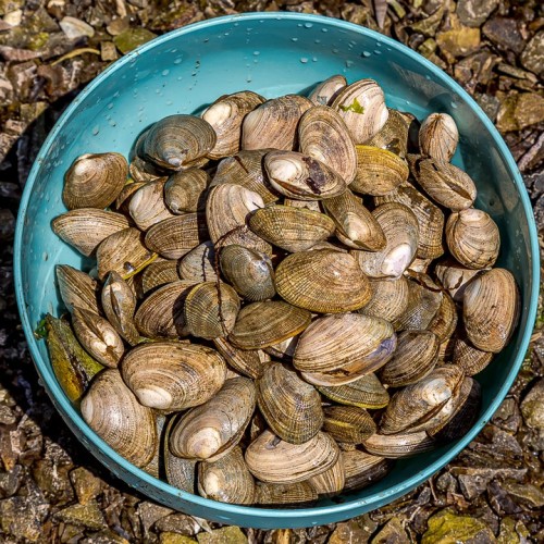 Гранд-тур по островам Дальнего Востока: Сахалин, Итуруп, Кунашир и Шикотан, термы и гастрономия