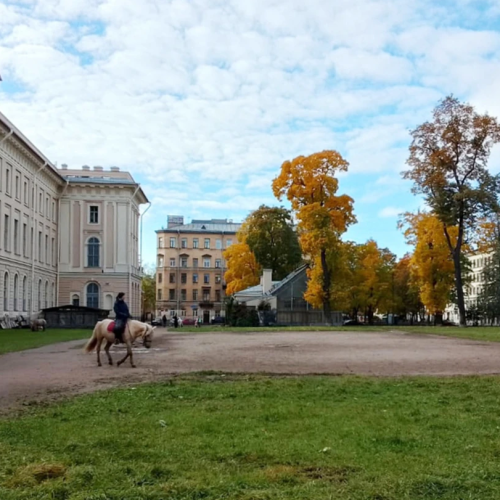 Мобильный квест «Кто украл питомца аптекаря Пеля»