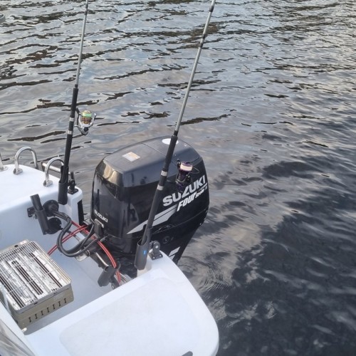 Рыбалка в Финском заливе