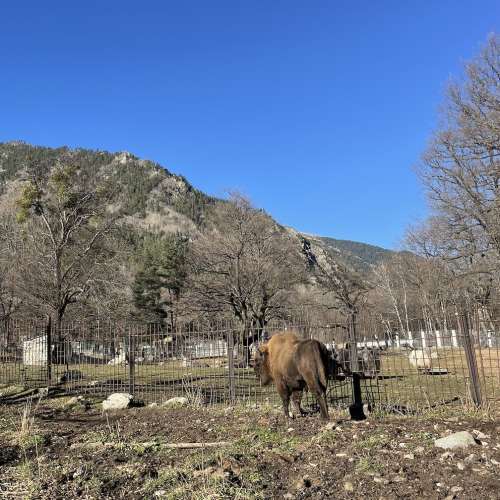 Небольшой компанией по Домбаю: от пещер до вершин и озёр