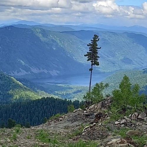 Всё многообразие Алтая: этнотур от высокогорья до степей с границей Монголии и Телецкого озера