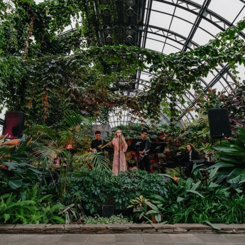 Концерт в оранжерее Таврического сада