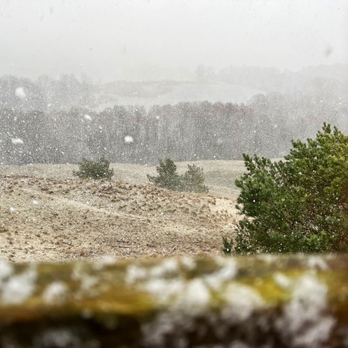 Замки, море и хомлины — лучшие места Калининградской области и дегустация на семейной сыроварне