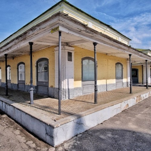 На «Фестиваль сыра», к лосям и на праздник Ивана Купалы: автобусный мини-тур в Кострому и Плёс