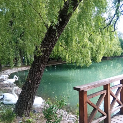 Владикавказ: архитектура, культура, городские истории