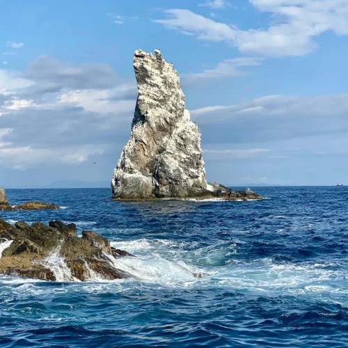 По волнам Японского моря на яхте с маской, сапом и деликатесами (мини-группа)