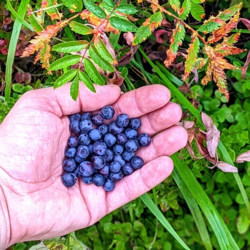 Комфортный треккинг-тур по национальным паркам Южного Урала