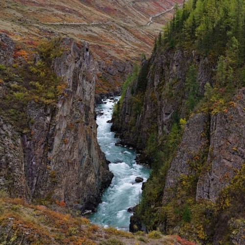 Загадки Алтая: тур с погружением в культуру и исследованием тайн (всё включено)