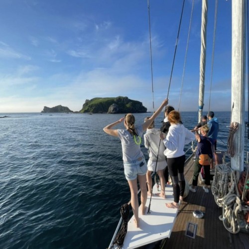 По волнам Японского моря на яхте с маской, сапом и деликатесами (мини-группа)
