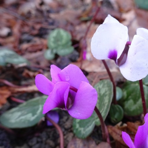 Женское счастье: отдых, правильное питание и проживание с видом на горы