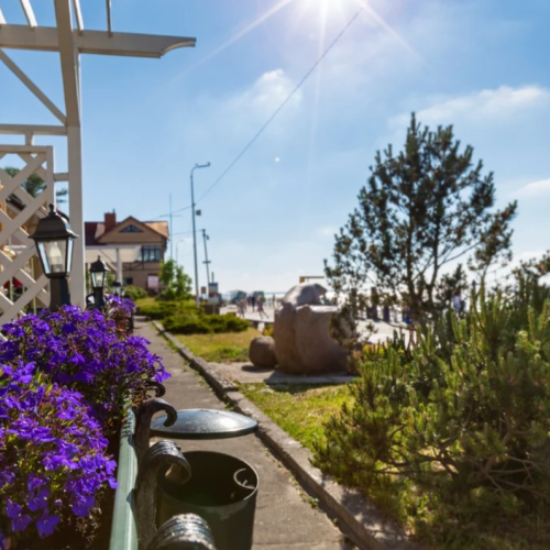 Отпуск в Калининграде и Светлогорске с экскурсиями на выбор