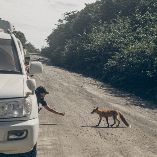 С океаном наедине: на Курильские острова с профессиональным фотографом