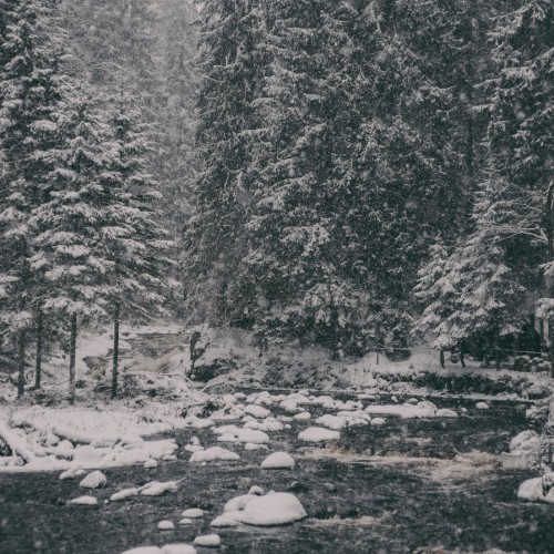 В экопарк «Долина водопадов» и музей «Кирьяж» — из Петербурга