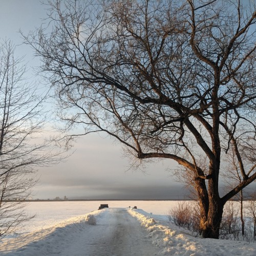 Едем с таксой по ленинским местам Петербурга