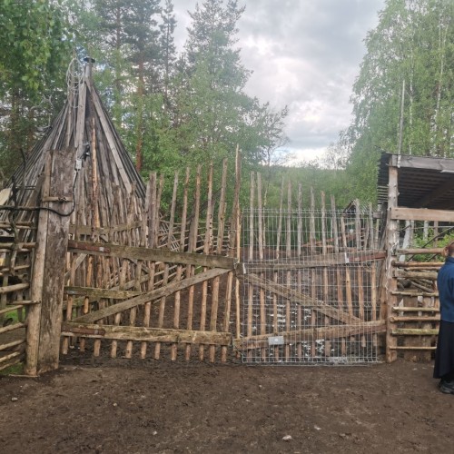 В гости к настоящей семье саами: поездка из Мурманска
