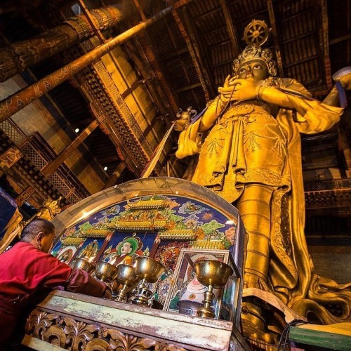 От пустыни до оазисов: большое путешествие по Монголии и Улан-Удэ