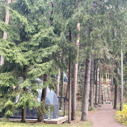 Приморский Парадиз — Сестрорецк, Репино, Комарово и Зеленогорск. Индивидуальная экскурсия