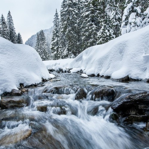 Счастье в горах! От Горно-Алтайска до Монголии через долину Актру: путешествие с треккингами