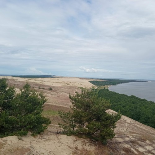 Встречай, янтарный край: индивидуальное путешествие по городам Калининградской области
