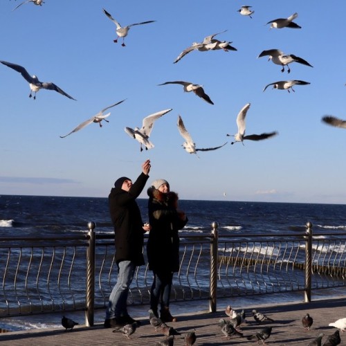 По побережью Балтийского моря: загадки и тайны Калининградской области