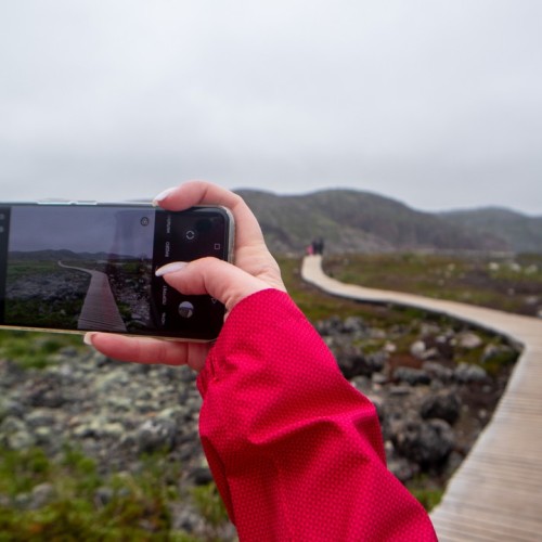 На Кольский в поисках китов и дельфинов мини-группой