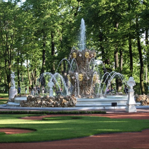 Летний сад — детям: познавательная прогулка