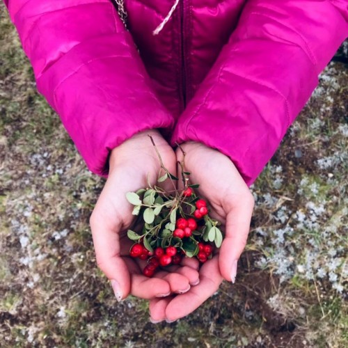 Край разноцветных озёр: треккинг налегке в Архызе с проживанием в палатках