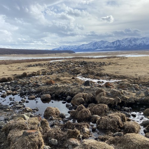 В окружении Саян: тур по Аршану и Монголии