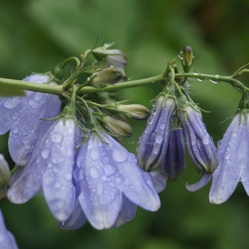 Острова с сокровищами: Сахалин, Итуруп, Кунашир