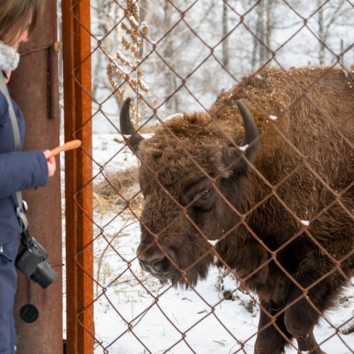 Топовые и необычные места Алтая в мини-группе: Чуйский тракт, озеро Джангыскёль и лёгкий треккинг