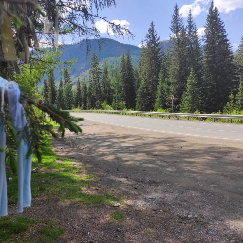 Влюбиться в Алтай: насыщенное путешествие в мини-группе