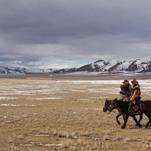 Из Алтая, по Чуйскому тракту — в Монголию на фестиваль беркутчи с проживанием в юрте