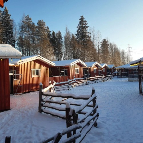 Ферма-парк «Илоранта» + дегустация сыров и сидра — из Санкт-Петербурга