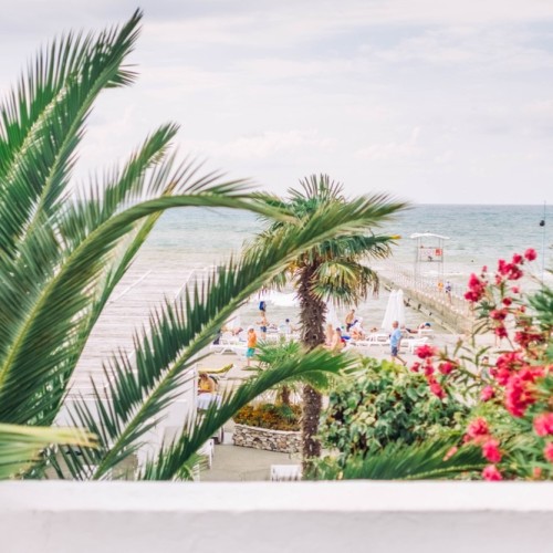 Большой тур по Сочи: природа, архитектура, история