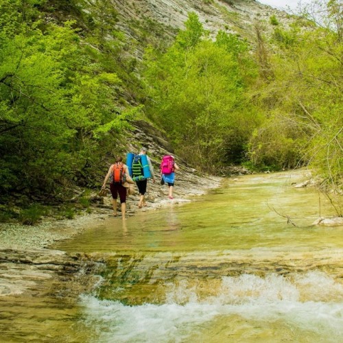 Запах разнотравья и никого вокруг: поход с рюкзаками по долине реки Пшада (всё включено)