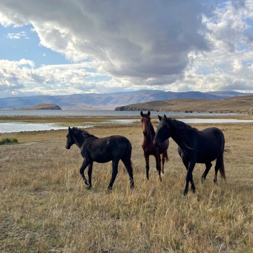 Джип-выезд в мини-группе по главным местам Ольхона: мыс Хобой, скала Шаманка и «Хранитель Байкала»